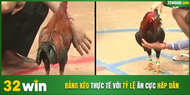 Bảng kèo thực tế với tỷ lệ ăn cực hấp dẫn